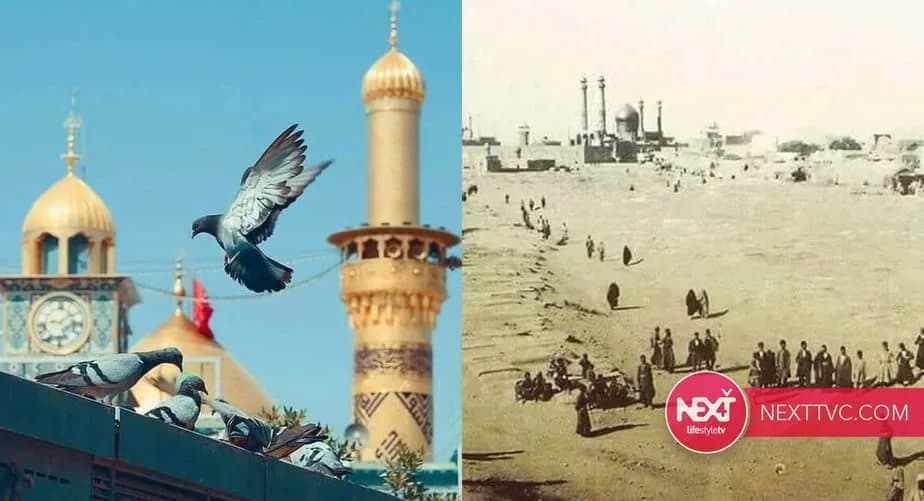 ہم ،ہمارا کلچر اور واقعہِ کربلا